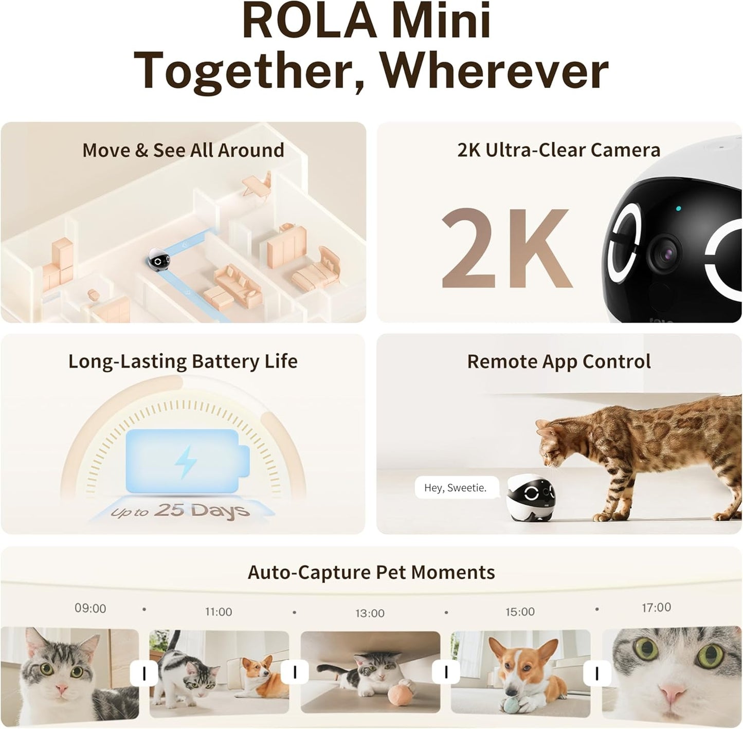 Enabot EBO ROLA Mini 2K Robot Pet Camera: Mobile Robot Pet Camera with App, Touch Call, 2-Way Audio, IR Night Vision, Motion and Video Detector