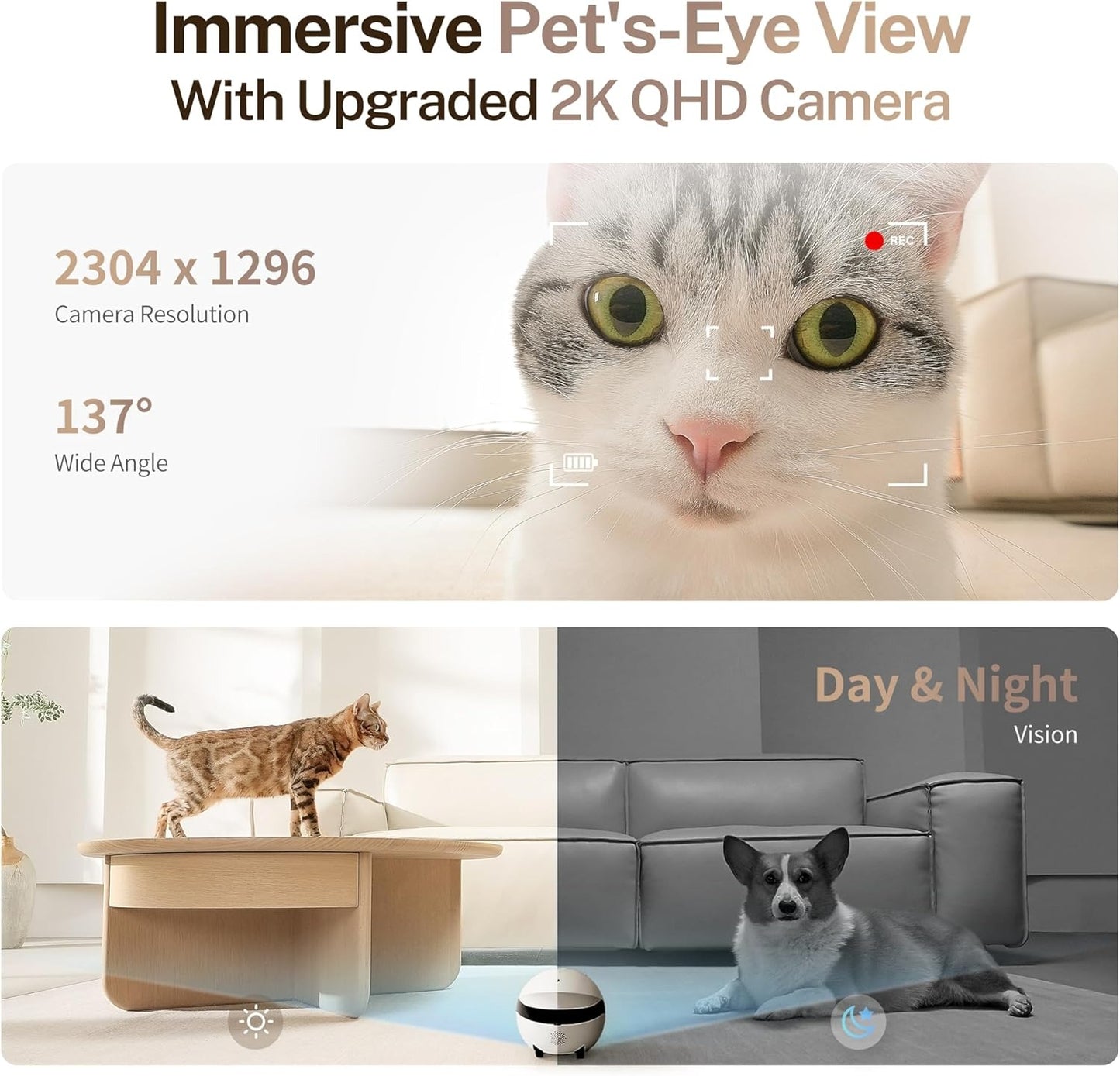 Enabot EBO ROLA Mini 2K Robot Pet Camera: Mobile Robot Pet Camera with App, Touch Call, 2-Way Audio, IR Night Vision, Motion and Video Detector