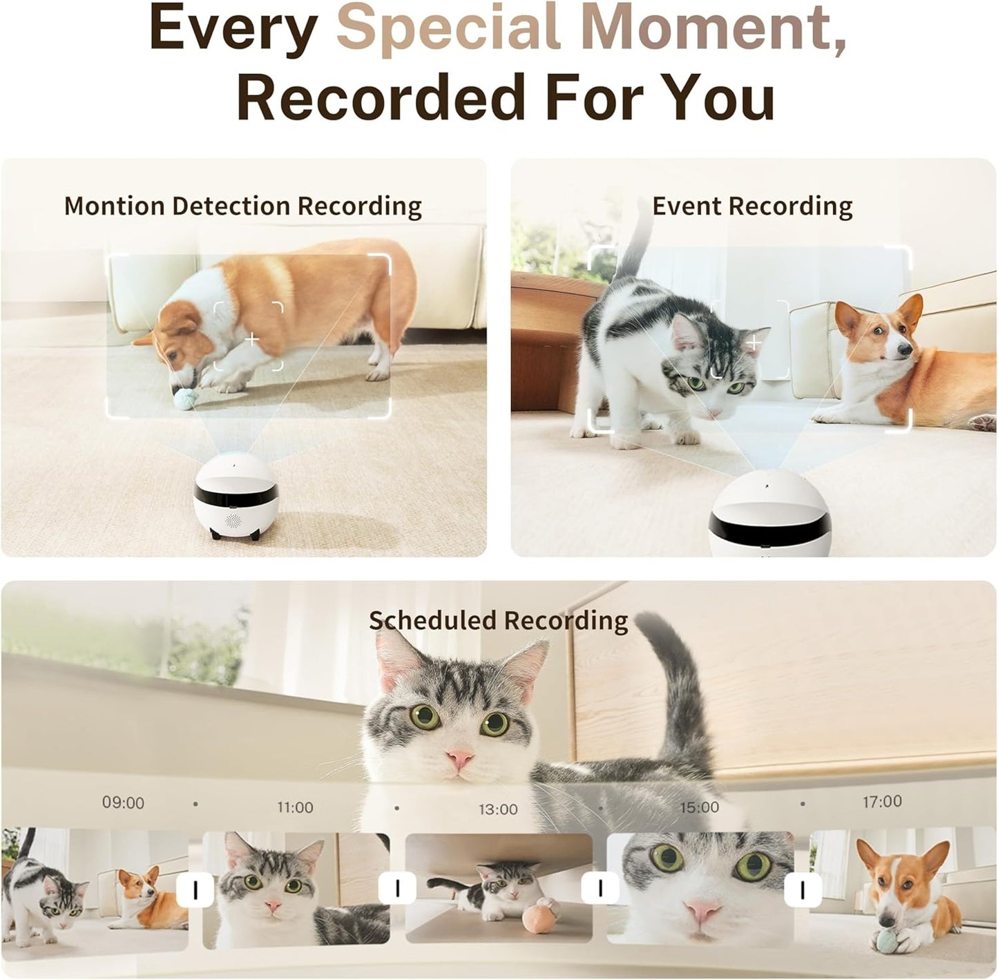 Enabot EBO ROLA Mini 2K Robot Pet Camera: Mobile Robot Pet Camera with App, Touch Call, 2-Way Audio, IR Night Vision, Motion and Video Detector