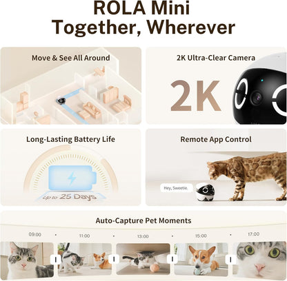 Enabot EBO ROLA Mini 2K Robot Pet Camera: Mobile Robot Pet Camera with App, Touch Call, 2-Way Audio, IR Night Vision, Motion and Video Detector