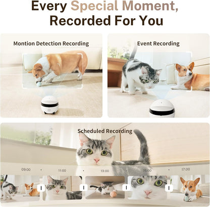 Enabot EBO ROLA Mini 2K Robot Pet Camera: Mobile Robot Pet Camera with App, Touch Call, 2-Way Audio, IR Night Vision, Motion and Video Detector
